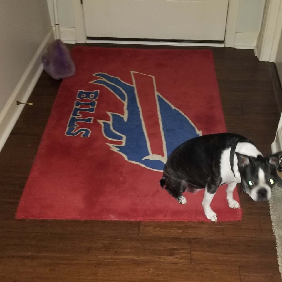 BIlls fan